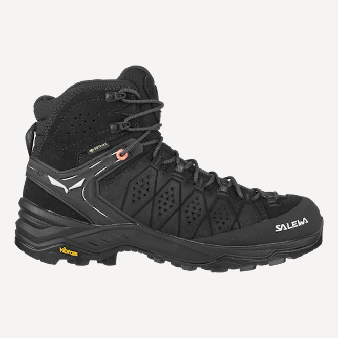 Ботинки Alp Trainer 2 Mid GTX WS